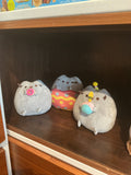 Cat Plushie