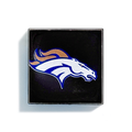 BRONCOS
